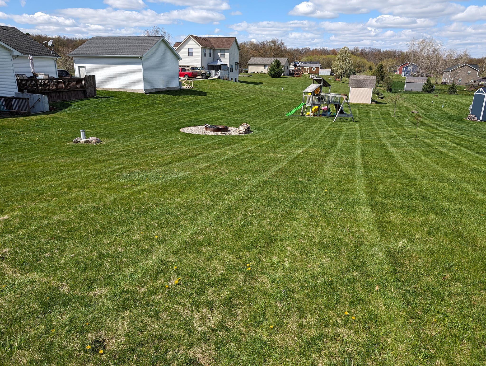 Professional lawn mowing