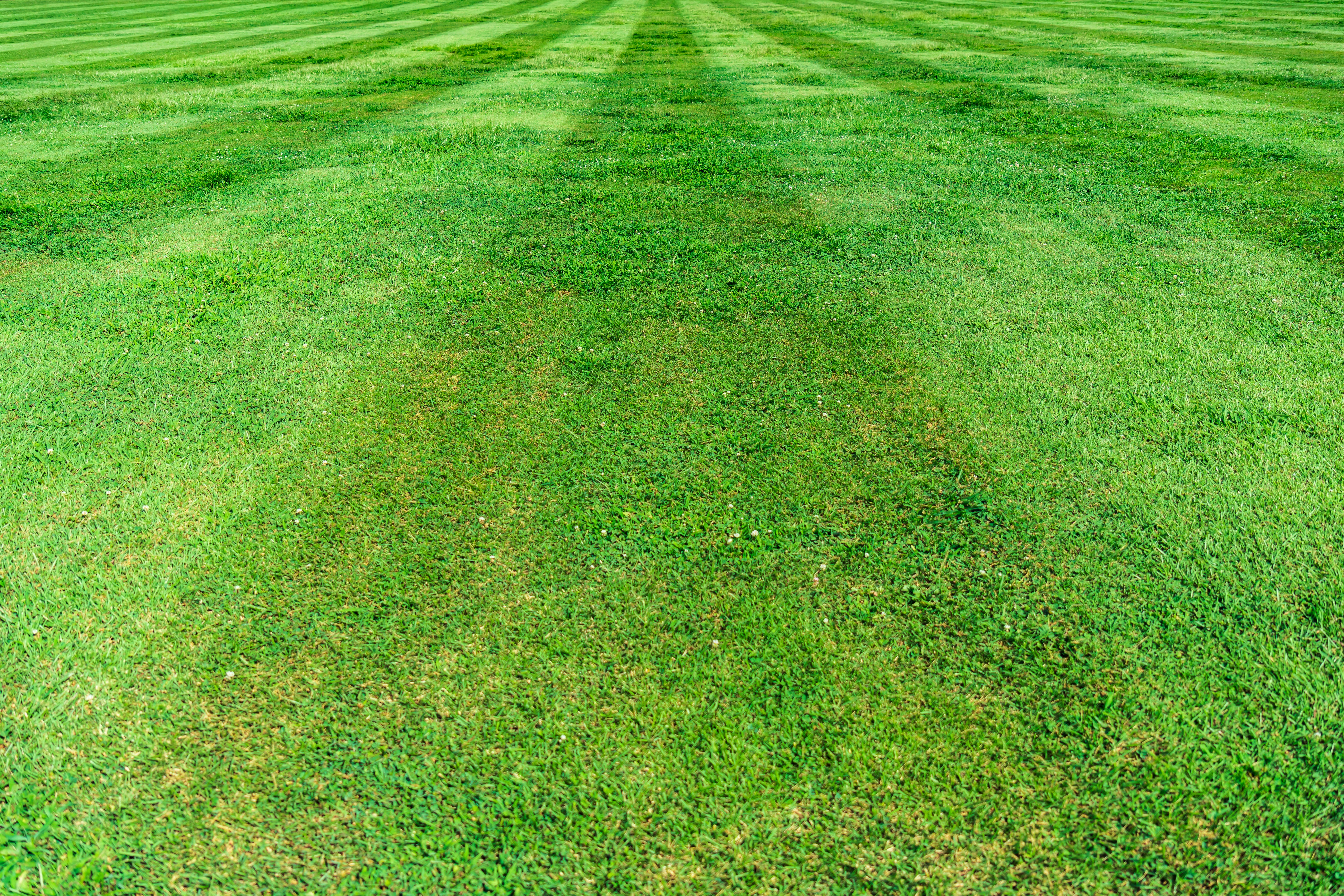 Lawn mulching service in Livingston County Michigan